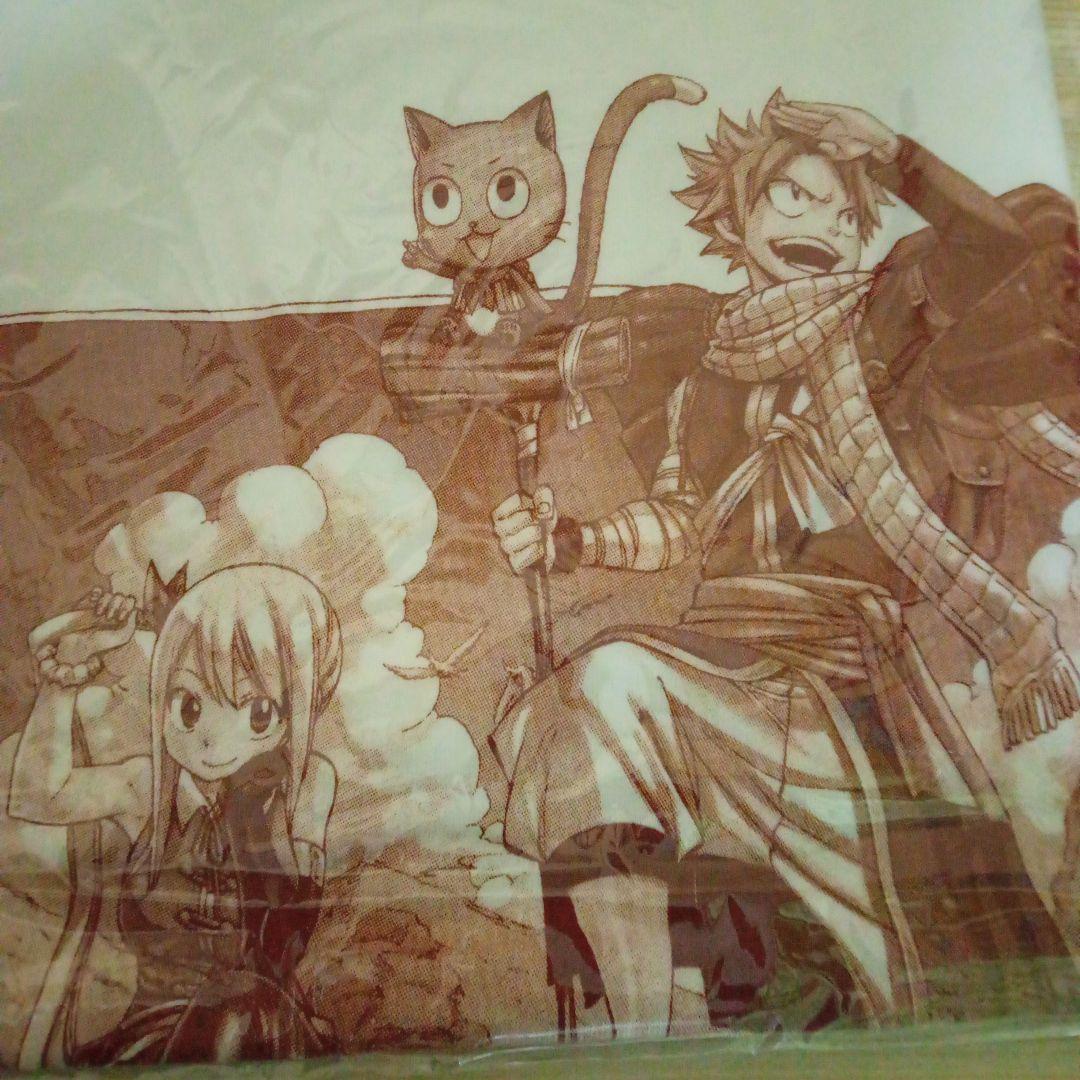 フェアリーテイル　Tシャツ Mサイズ