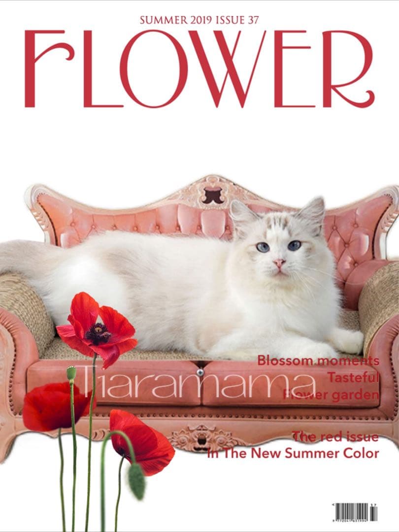 ソファー型猫爪とぎ　インテリア　ストレス発散