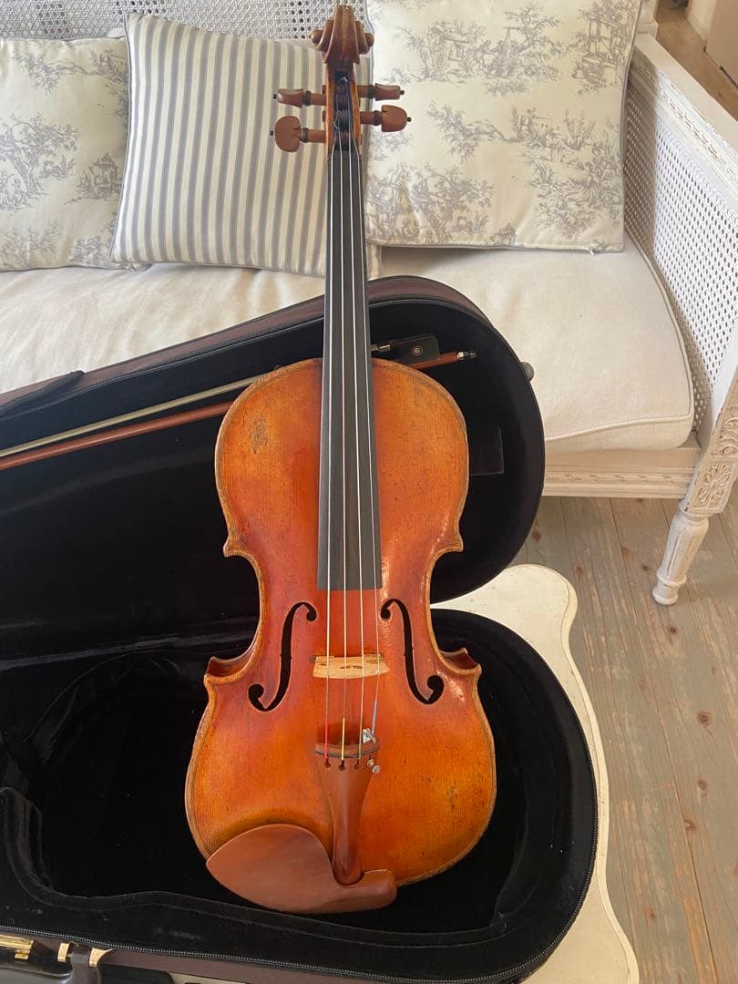 【ブルガリア製】ビオラセット