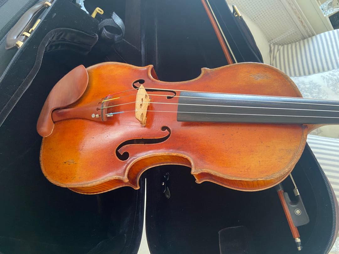 【ブルガリア製】ビオラセット