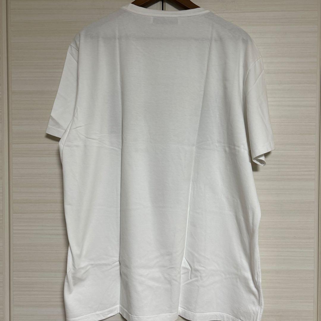 ETRO hand PaintinG エトロ　Tシャツ