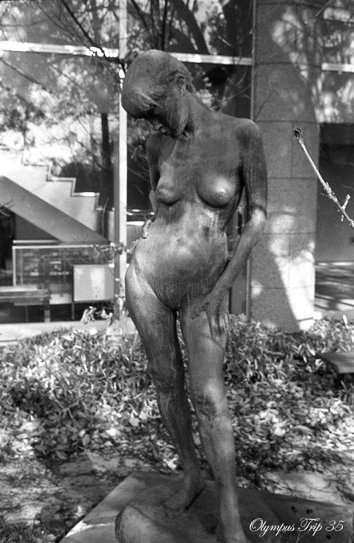 【整備済完動品・赤ベロOK！フィルム試写済み】OLYMPUS Trip 35