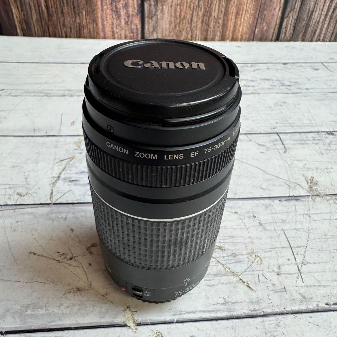 CANON ZOOM LENS EF 75-300mm 1:4-5.6 Ⅲ