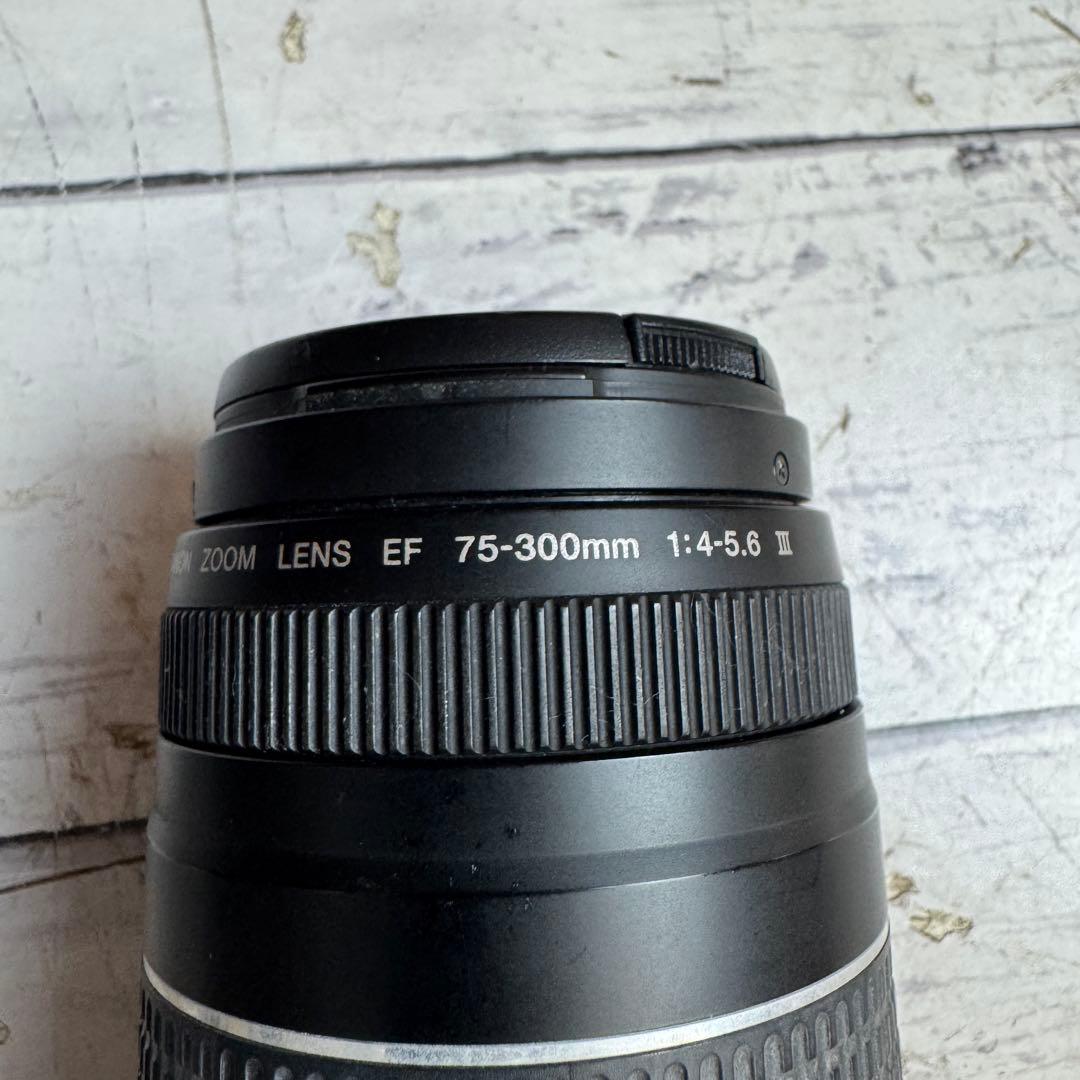 CANON ZOOM LENS EF 75-300mm 1:4-5.6 Ⅲ