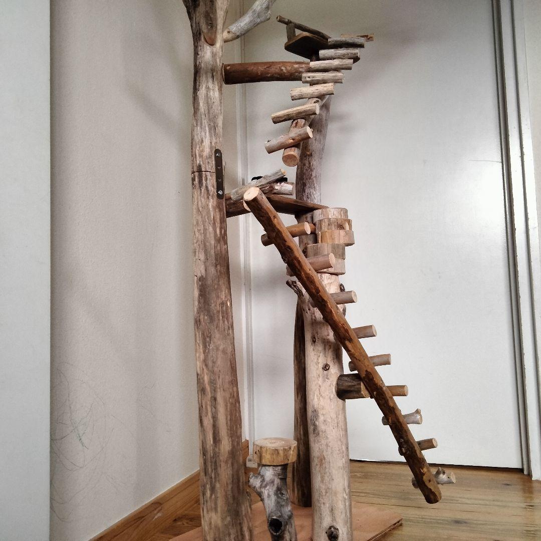 まっきー バードアスレチックジム大型 天然木 自然木 止まり木 インコ