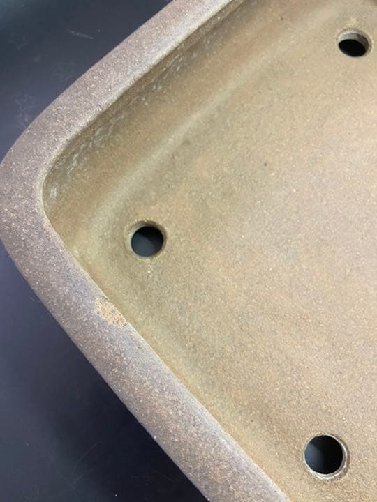 盆栽鉢　和鉢　人気作家　寺畑　真山　烏泥上下帯撫角長方鉢