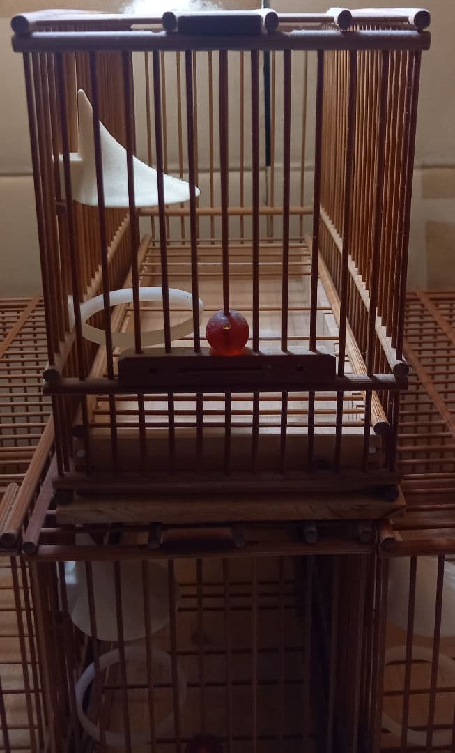 ☆メジロ竹籠☆ 4個セット 他色々あります。