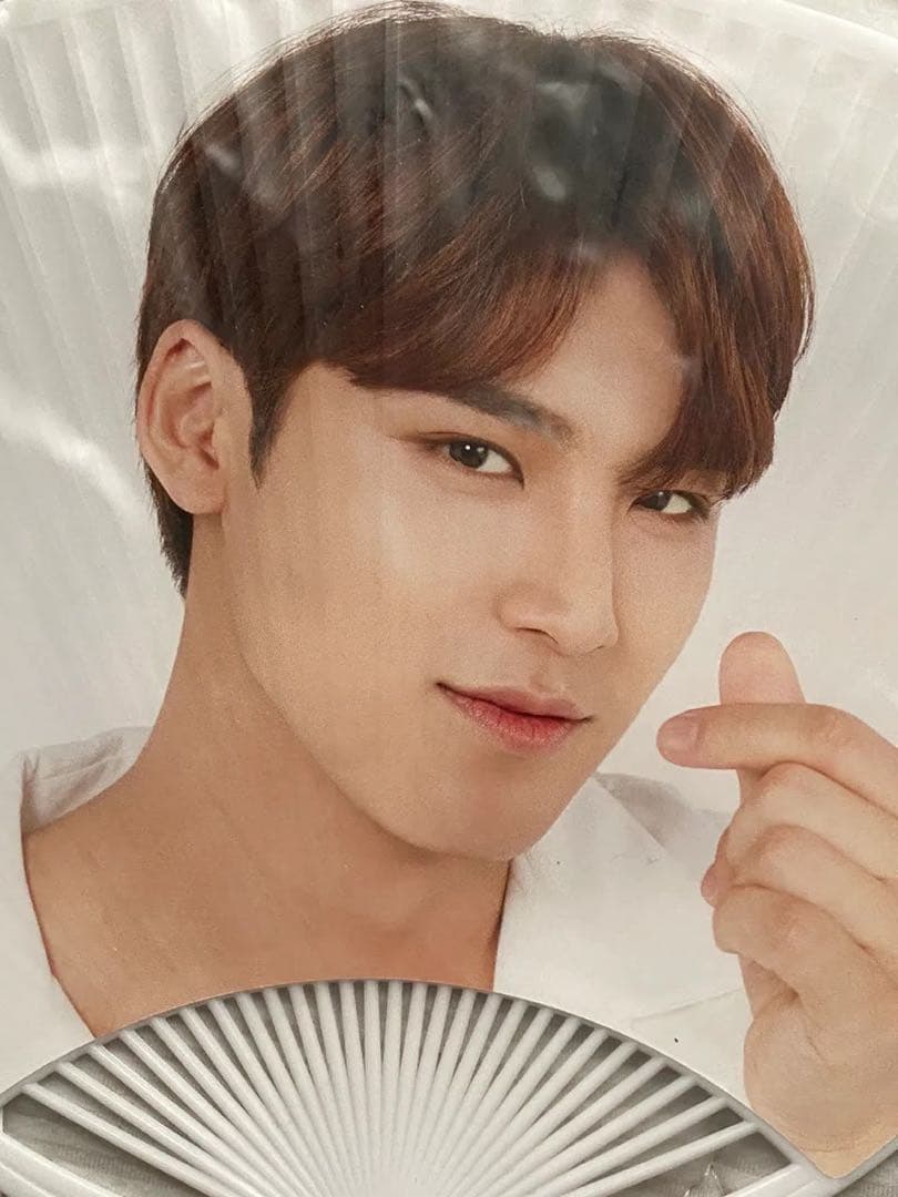 SEVENTEEN セブンティーン セブチ ミンギュ うちわ 団扇 セット