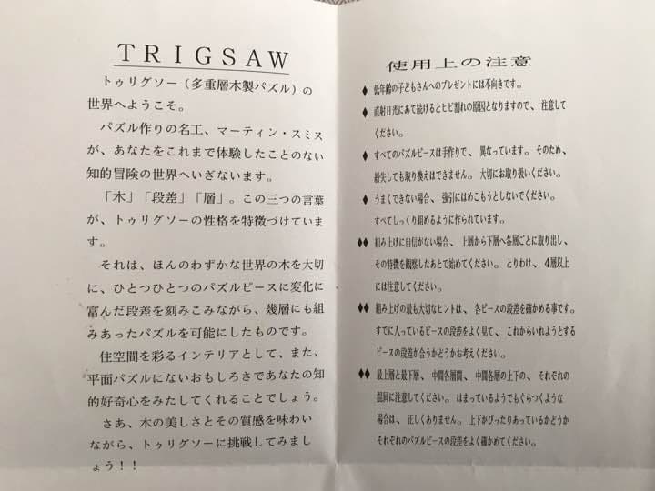 TRIGSAWパズル てんとう虫 多重層木製パズル インテリア