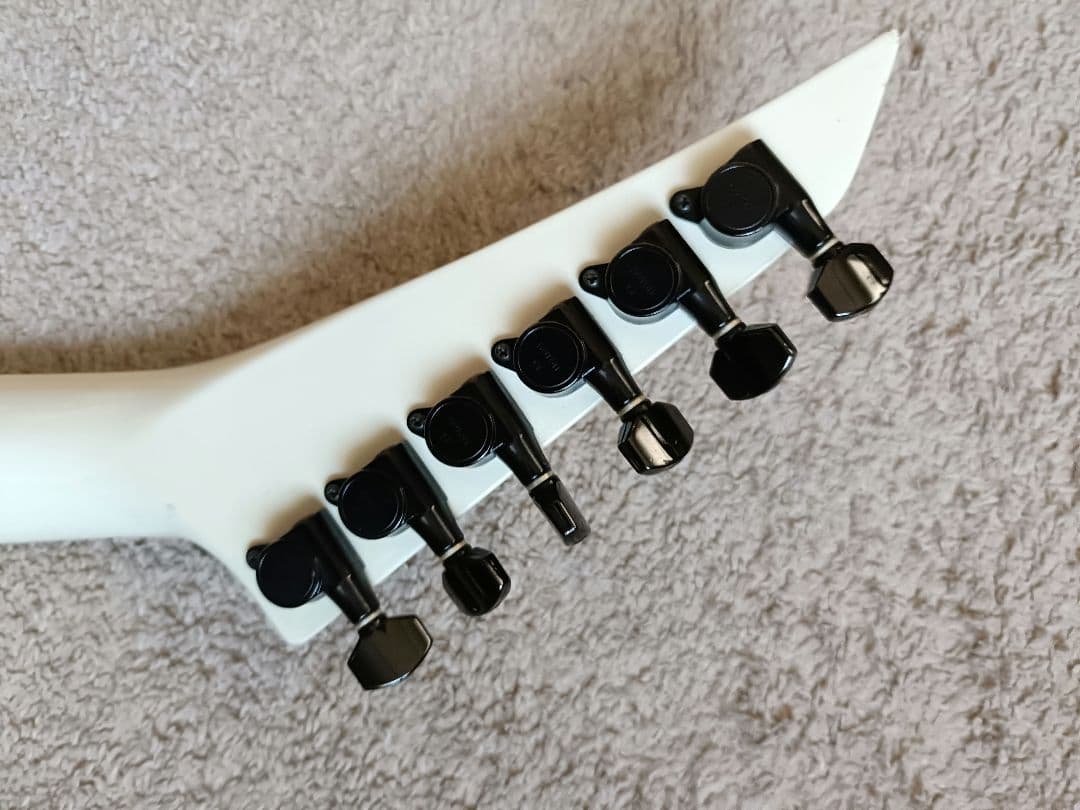 フェルナンデス TEJ limited edition サスティナー搭載