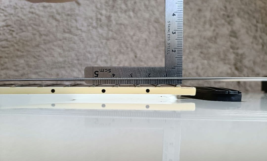 フェルナンデス TEJ limited edition サスティナー搭載