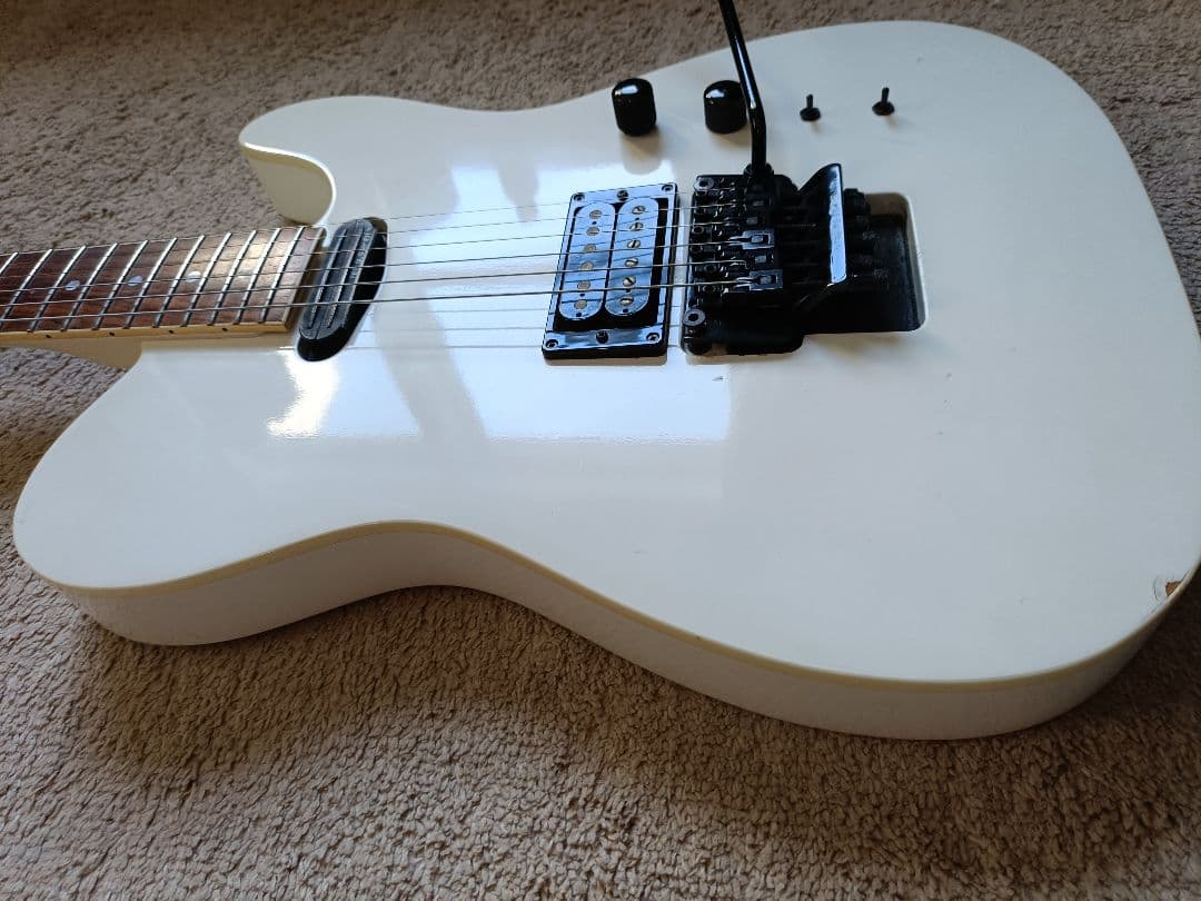 フェルナンデス TEJ limited edition サスティナー搭載