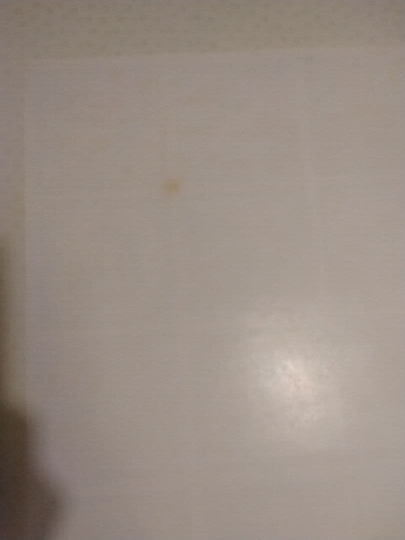 幻夢戦記レダ　いのまたむつみ　アニメ版　B2サイズ　ポスター　当時物