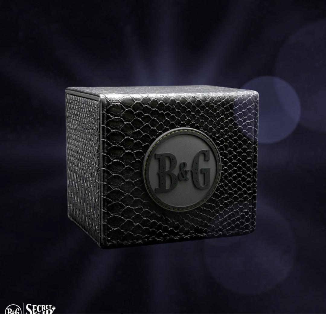 マジック：ザ・ギャザリング MTG secret lair here be dragons 1BOX