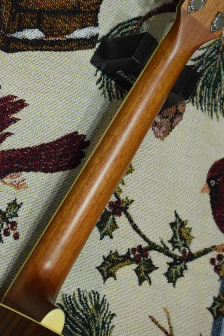 YAMAHA ヤマハ FG730S トップ単板【ソフトケース付/状態良好】