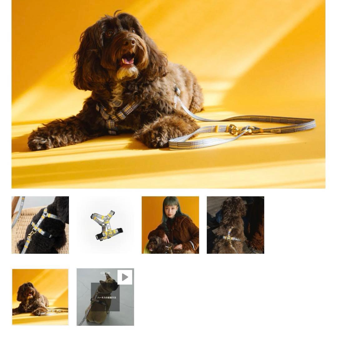 citron 犬用ハーネス グレー・チェックハーネスセット Matthew
