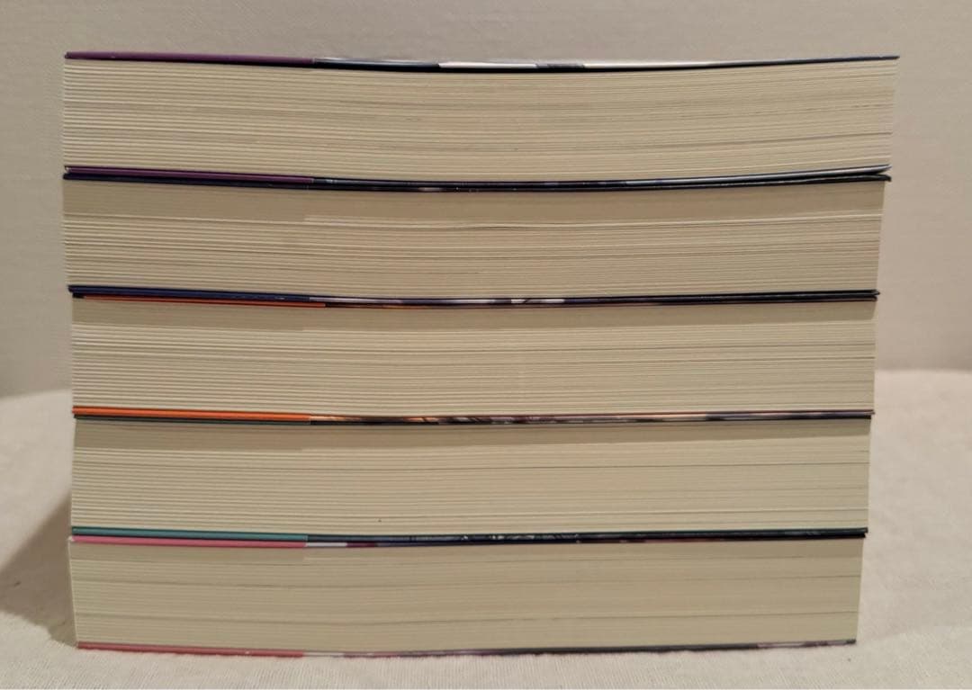 二哈和他的白猫師 (ハスキーと彼の白猫師尊) 小説 日本語版 第一巻〜第五巻