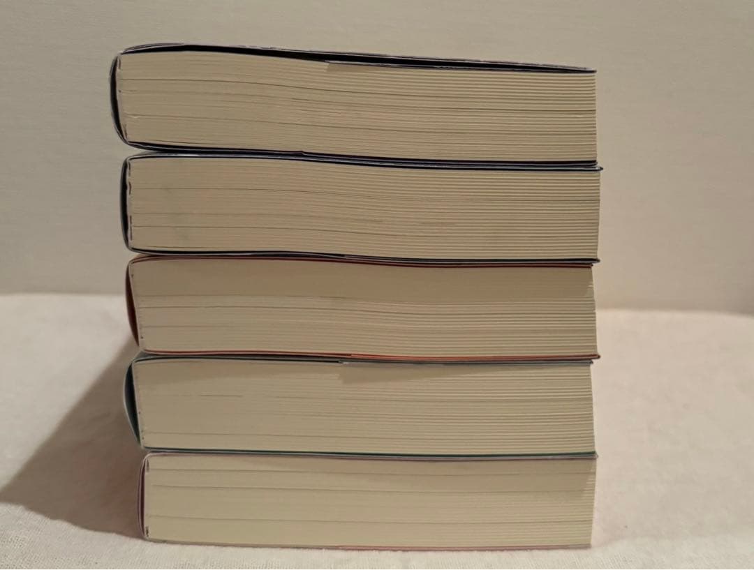 二哈和他的白猫師 (ハスキーと彼の白猫師尊) 小説 日本語版 第一巻〜第五巻