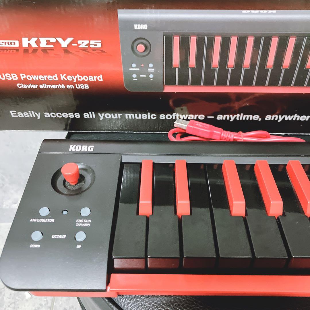 【希少】korg コルグ MIDIキーボード microKEY-25 25鍵