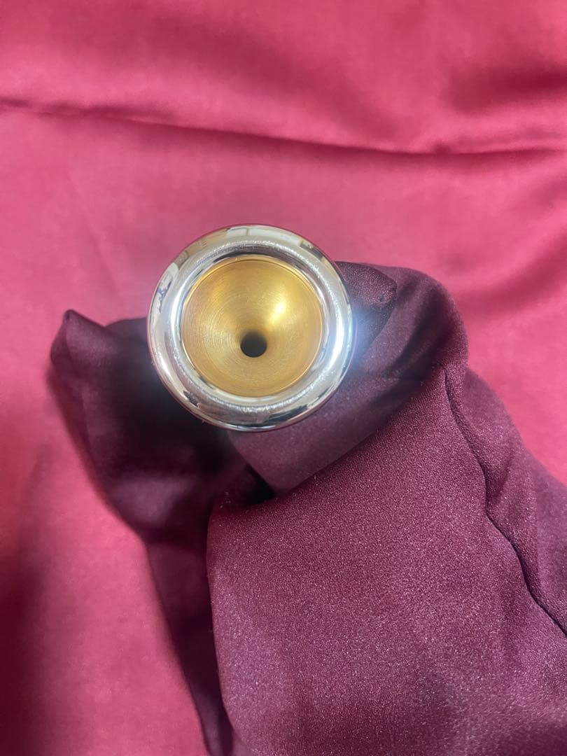 【最終値下げ】EPM アイルリッヒ マウスピースECO12c