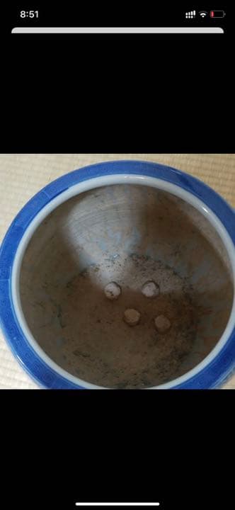 アンティーク☆火鉢☆鉢カバー☆メダカ