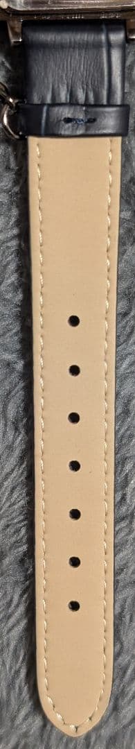 SuperGroupies ヴァニタスの手記（カルテ）モデル 腕時計