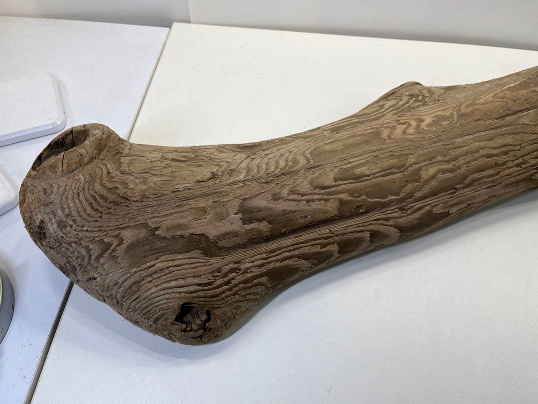 n42特大流木 大型流木 アク抜き済み 爬虫類シェルター レイアウト用 登り木