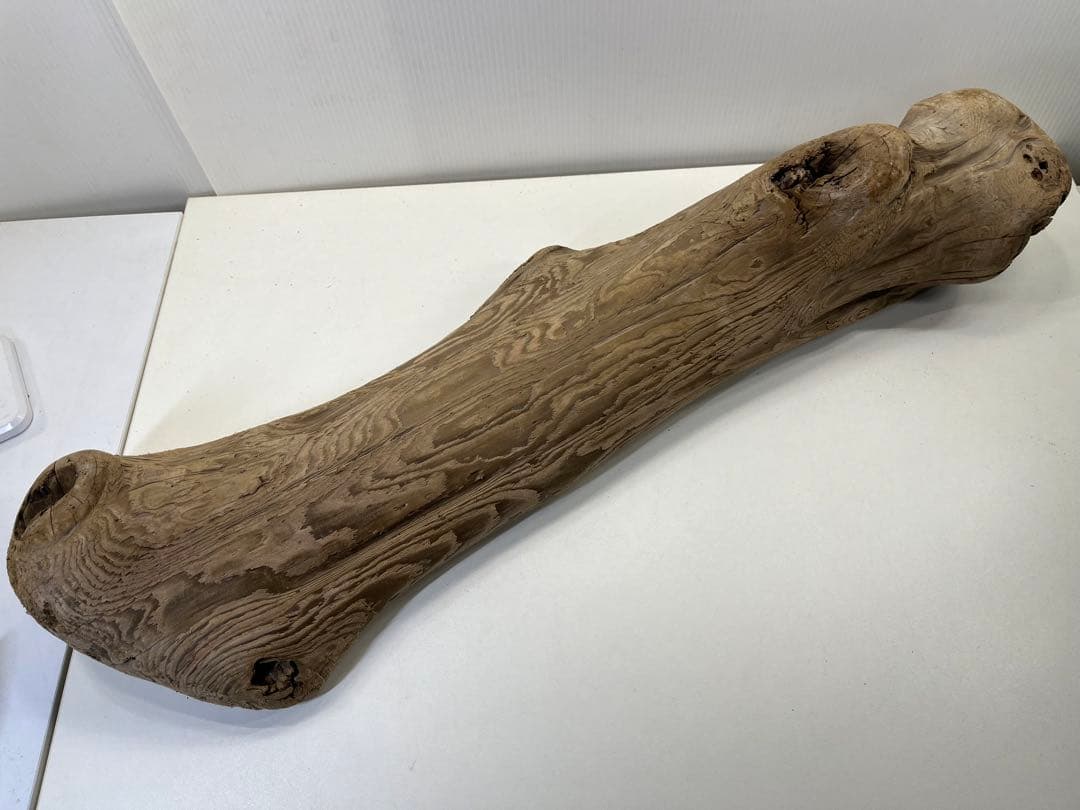 n42特大流木 大型流木 アク抜き済み 爬虫類シェルター レイアウト用 登り木