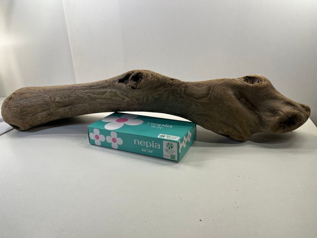 n42特大流木 大型流木 アク抜き済み 爬虫類シェルター レイアウト用 登り木