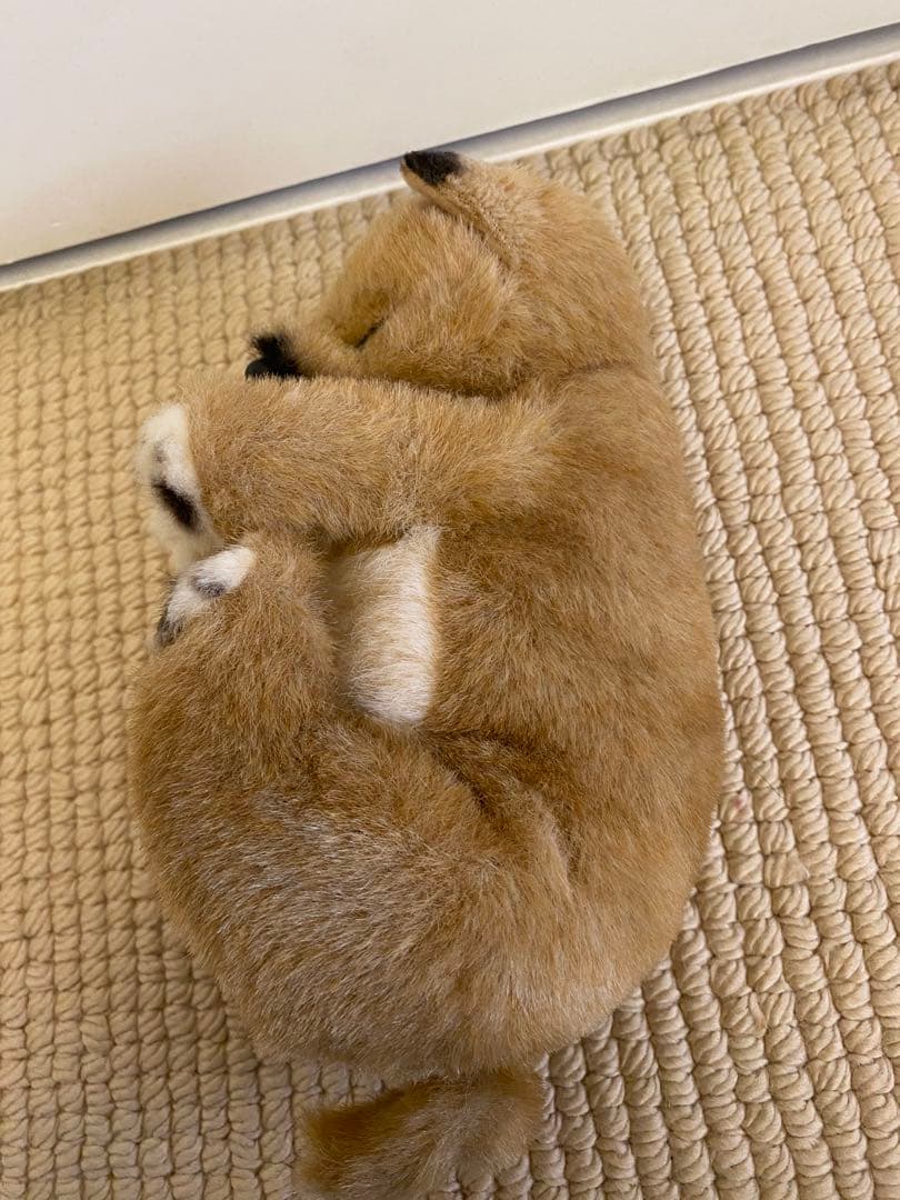 四季オリジナル　柴犬　眠り　ぬいぐるみ　美品