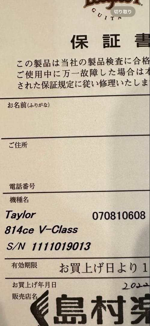 2022年購入Taylor814ce ギター 新品　島村楽器購入　保証書有