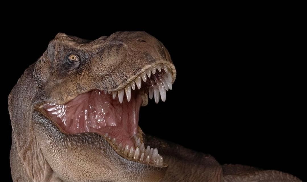 Nanmu 本心楠改 ティラノサウルス アクション フィギュア 3.0