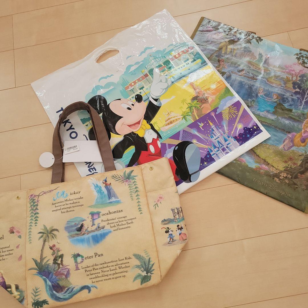 新品　未使用　ディズニーシー　ファンタジースプリングス　バッグ　2つセット