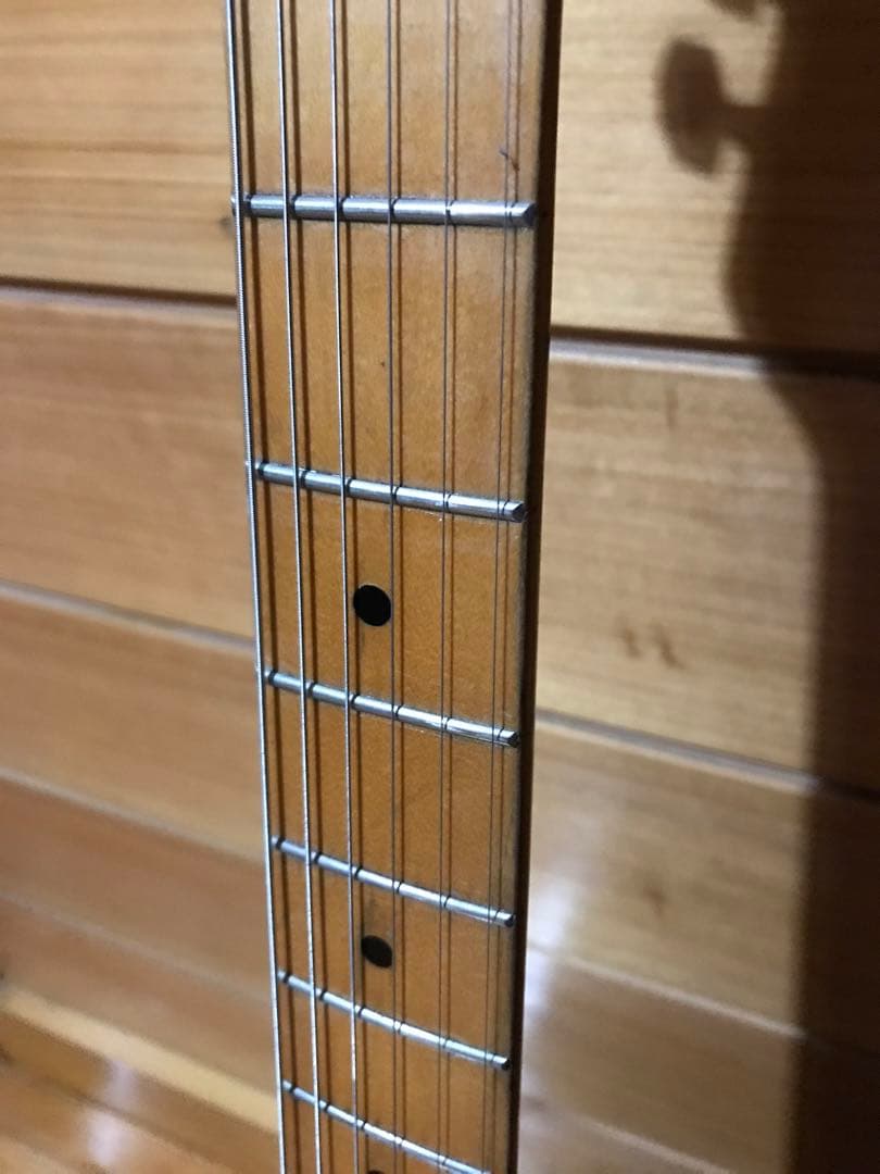 ヘビーレリック/ ‘57テレキャスタータイプTurtle Crack Body