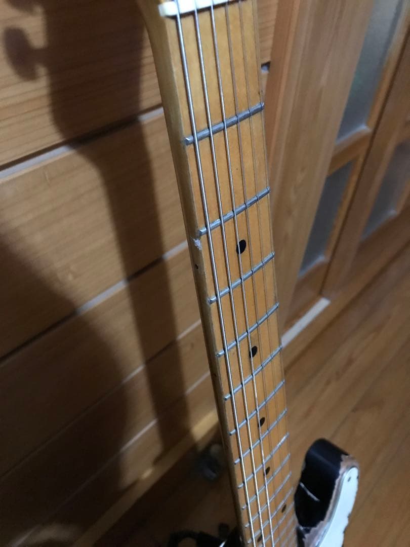 ヘビーレリック/ ‘57テレキャスタータイプTurtle Crack Body