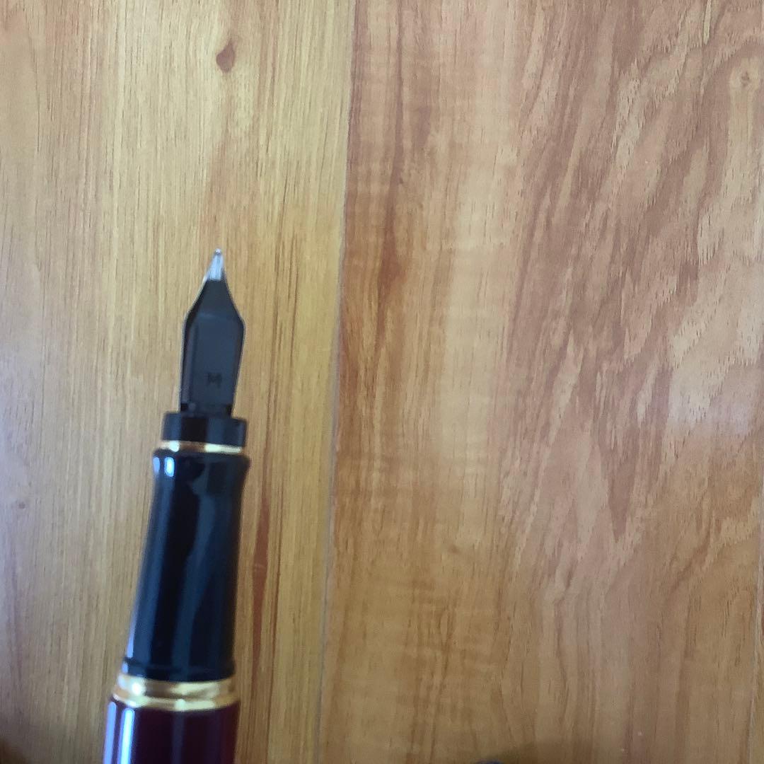 [z132]Waterman 万年筆セット