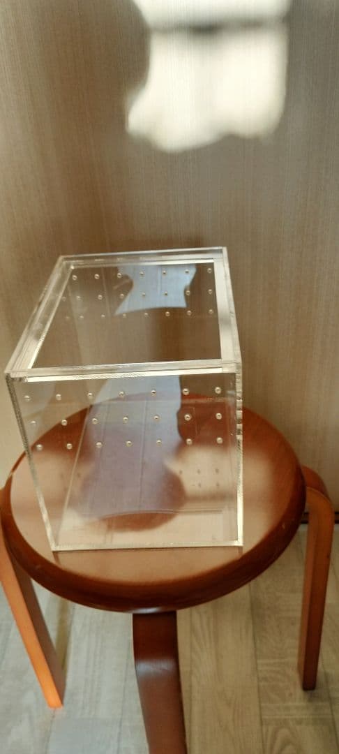 アクリル 虫かご 昆虫飼育ケース