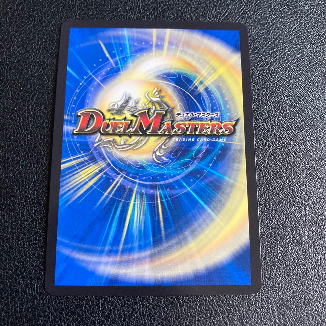 神聖龍 エモーショナル・ハードコア エモーショナルハードコア 金トレジャー