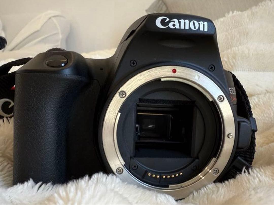 Canon eos kiss x10 ダブルズームキット