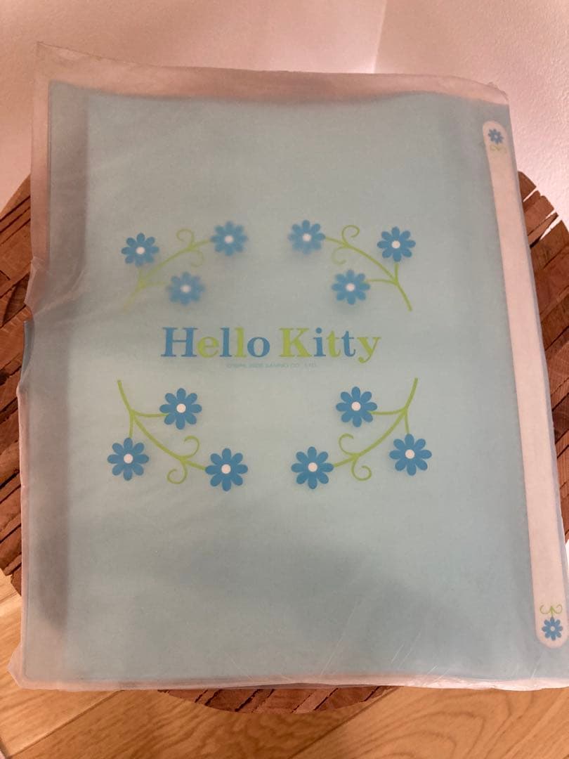 激レア！希少！キティ　多目的ファイル　B5サイズ