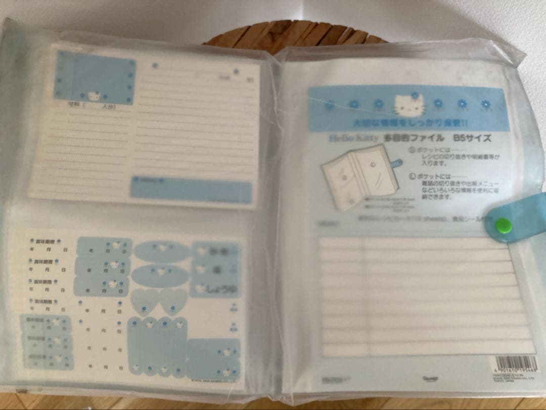 激レア！希少！キティ　多目的ファイル　B5サイズ