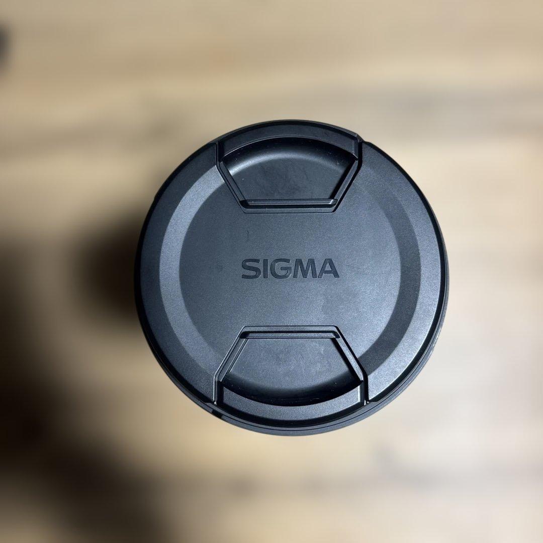 SIGMA レンズ/APO 50-500mm F4.5-6.3 DG OS HS