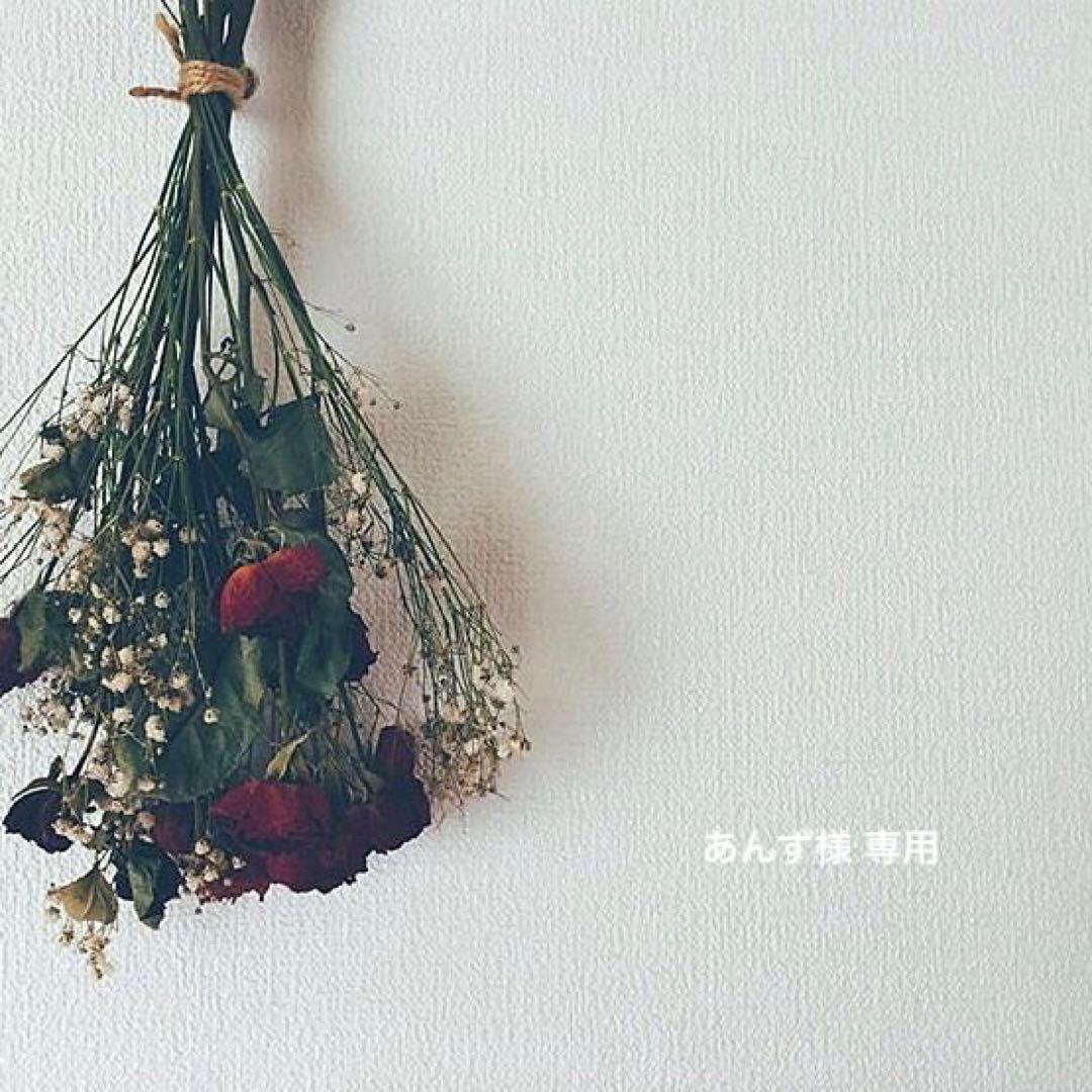 あんず 佐々木舞香 まとめ売り