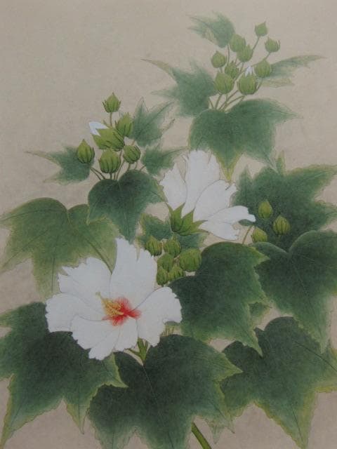 三井淳生、【芙蓉】、希少な額装用画集より、新品額装付、状態良好