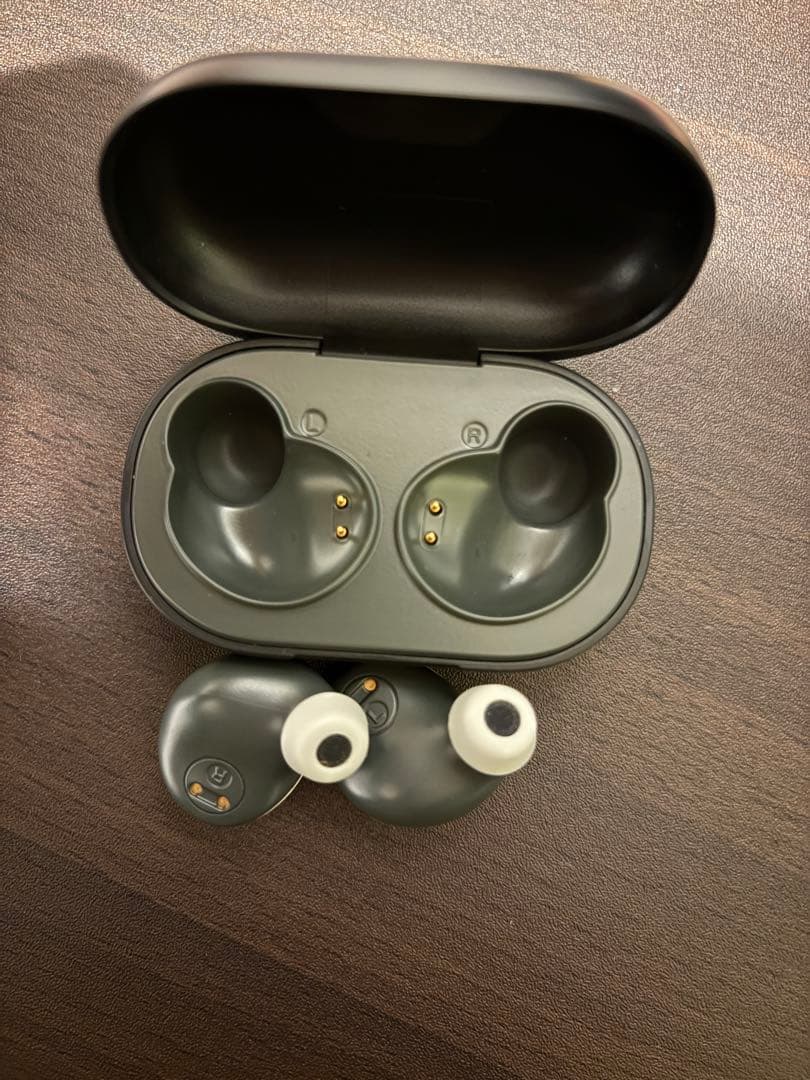 津田健次郎モデル ワイヤレスイヤホン