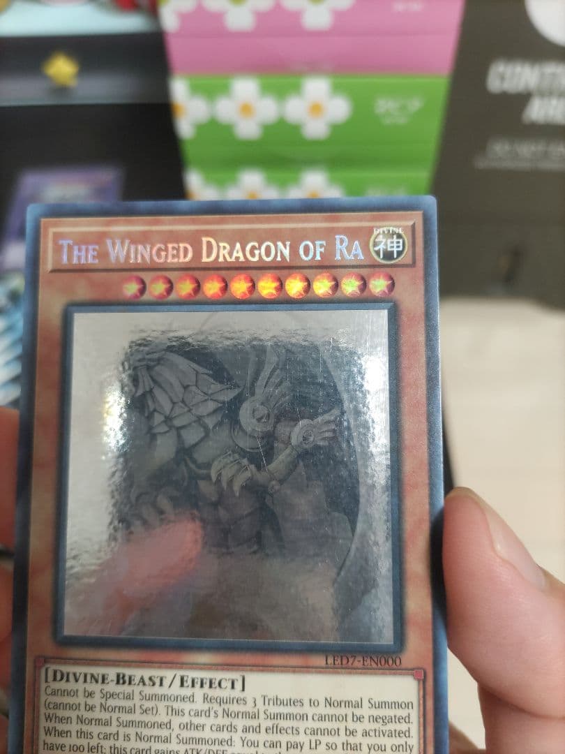 遊戯王　ラーの翼神竜　ゴーストレア　ホロ　北米版　②