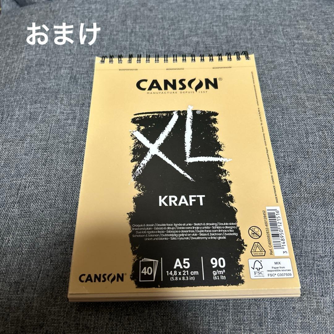 CARAN D'ACHE LUMINANCE 6901 20色セット おまけあり