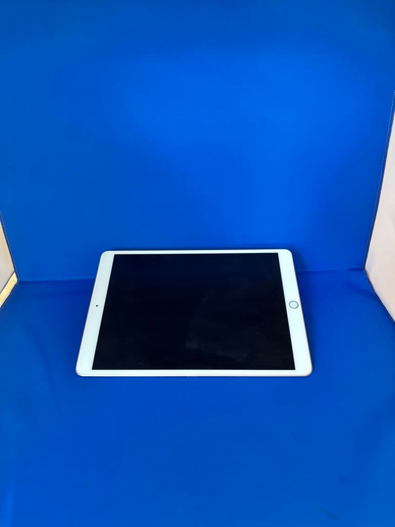 iPad本体 iPad Air 3