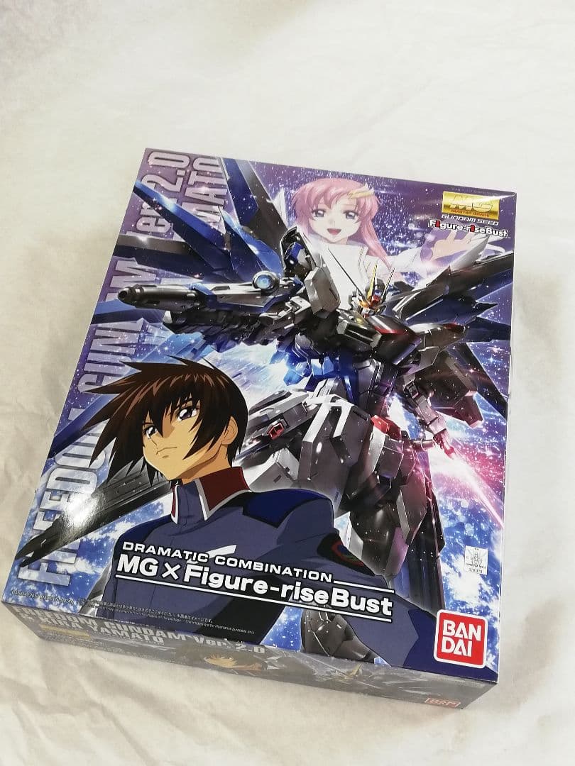 MG 1/100 フリーダムガンダム ver.2.0 & キラ・ヤマト