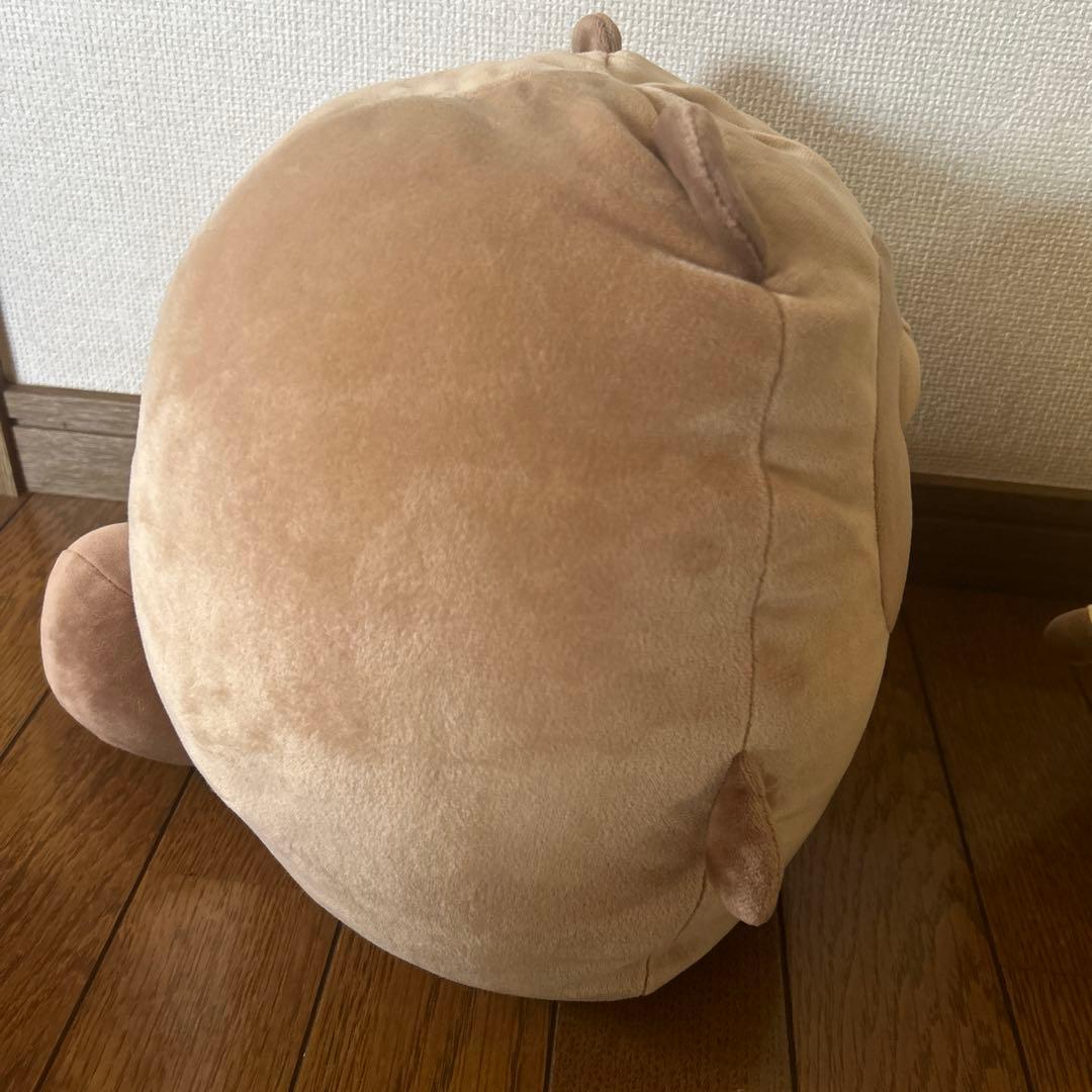 タヌキとキツネもっちぃもっちぃぬいぐるみ M